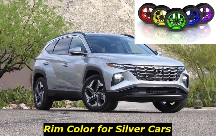 Rim color for silver cars (1)